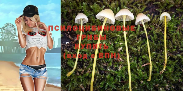 ГАЛЛЮЦИНОГЕННЫЕ ГРИБЫ Армянск